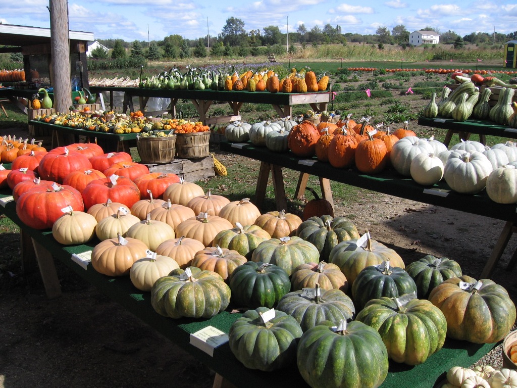 29th Street Farm Stand