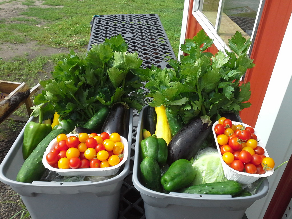 All Good Organics, Inc.