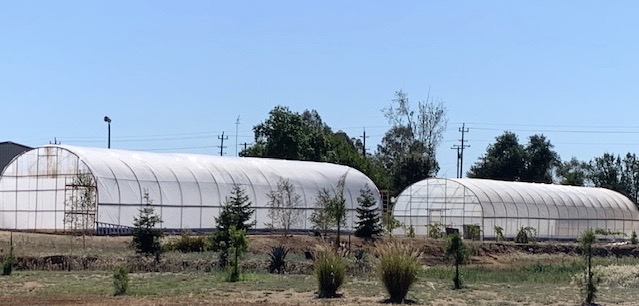 Apple Creek Vineyard Farm