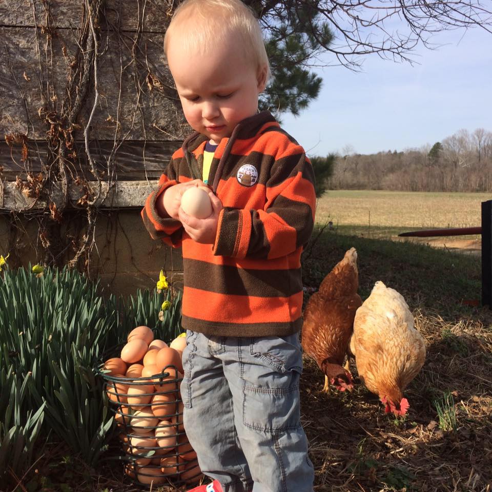 Armstrong Artisan Farm