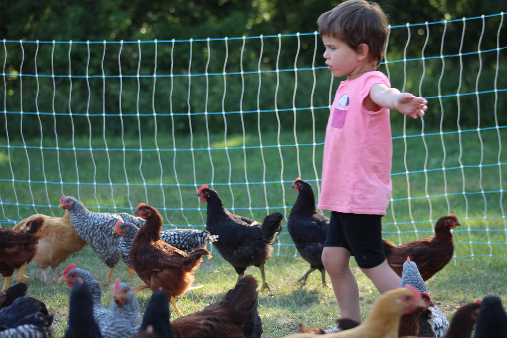 August Haven Farm
