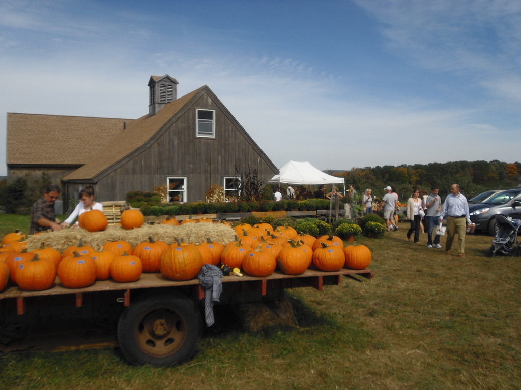 Averill Farm