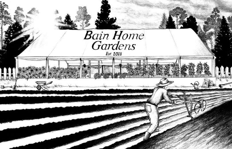 Bain Home Gardens