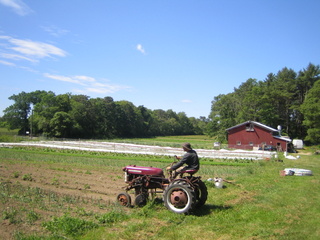 Bay End Farm
