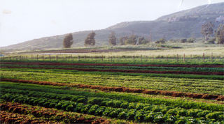 Be Wise Ranch Organic Farm