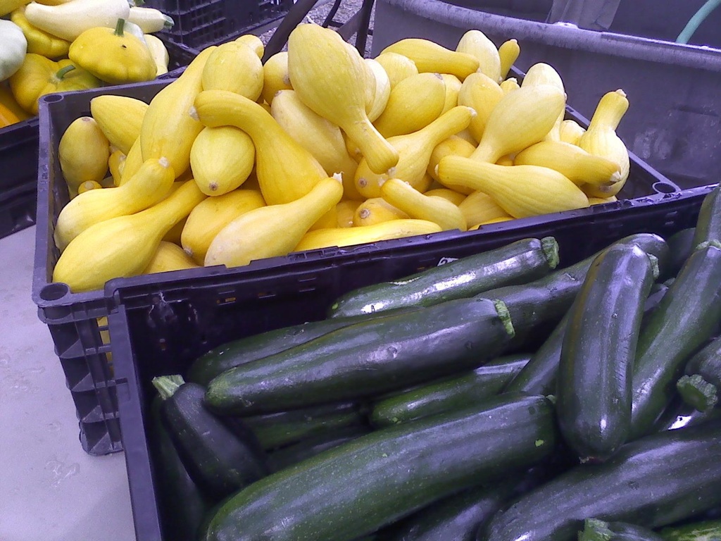 Beasley Farm of Brooksville