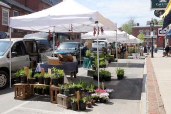 Belfast Farmers Market