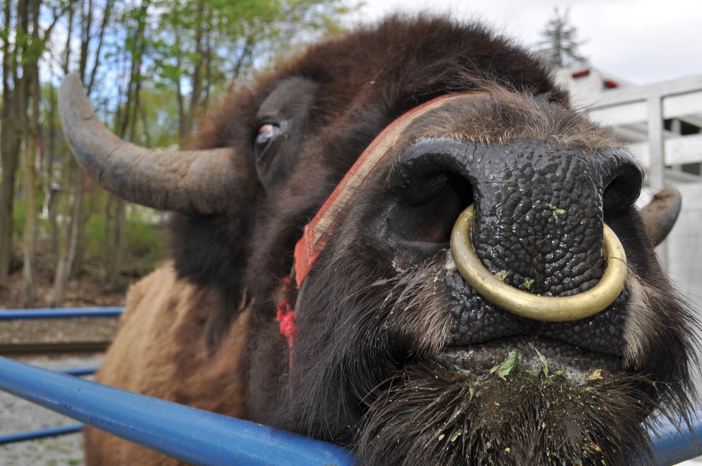 Bellefonte Farmers Market
