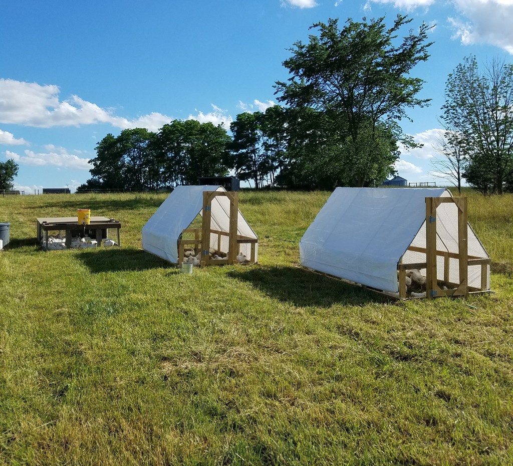 Belted Oak Ranch