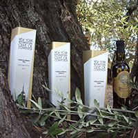 Berkeley Olive Grove