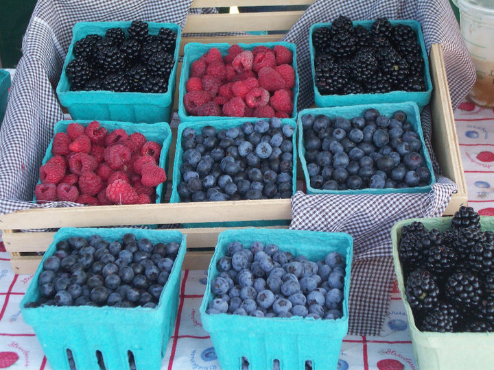 Berryhill Farm