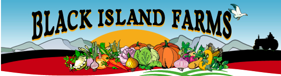 Black Island Farms