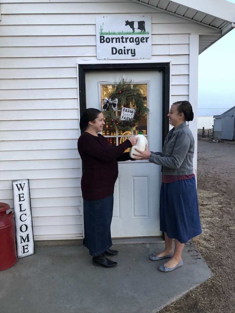 Borntrager Dairy