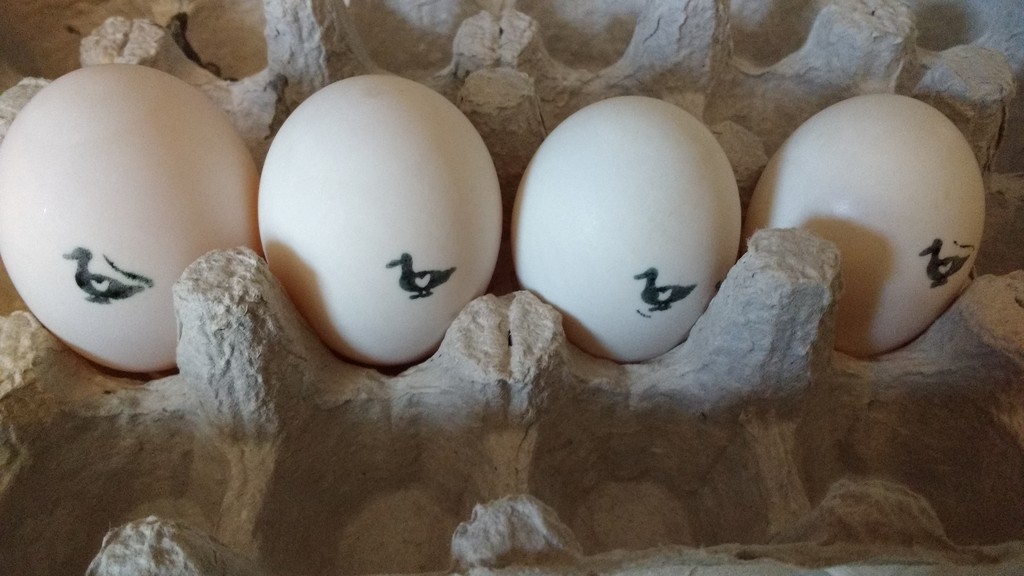 Brasington's Natural Farmstead