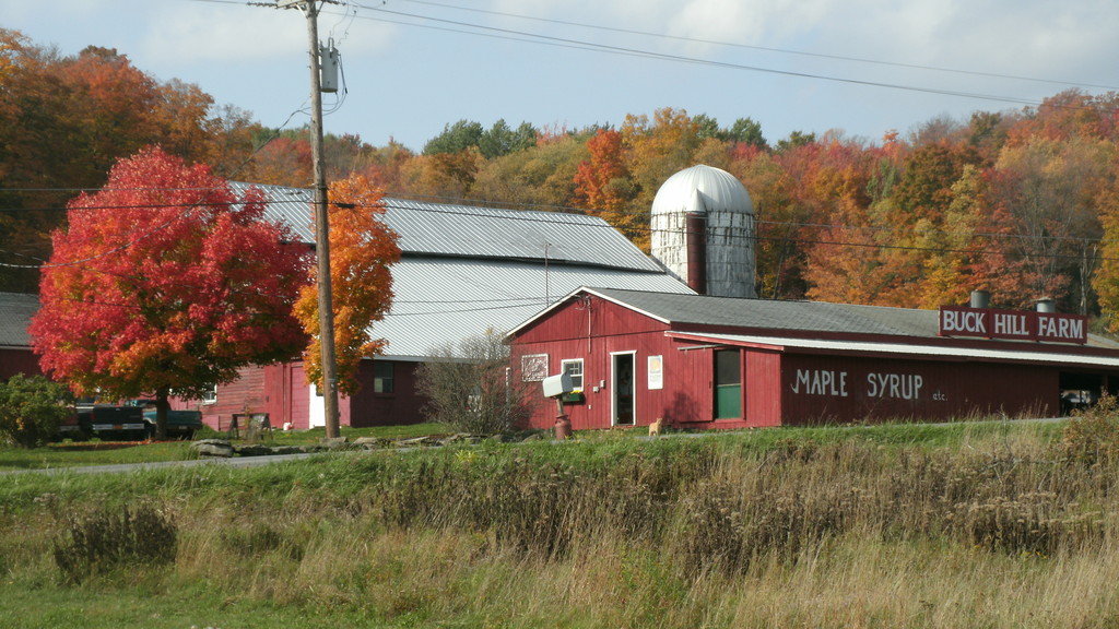 Buck Hill Farm