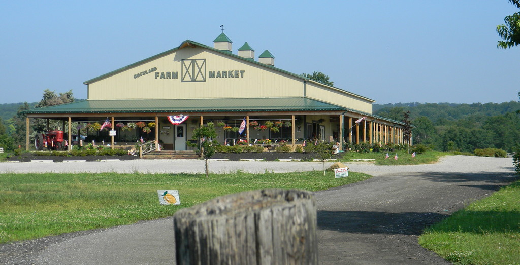 Buckland Farm Market