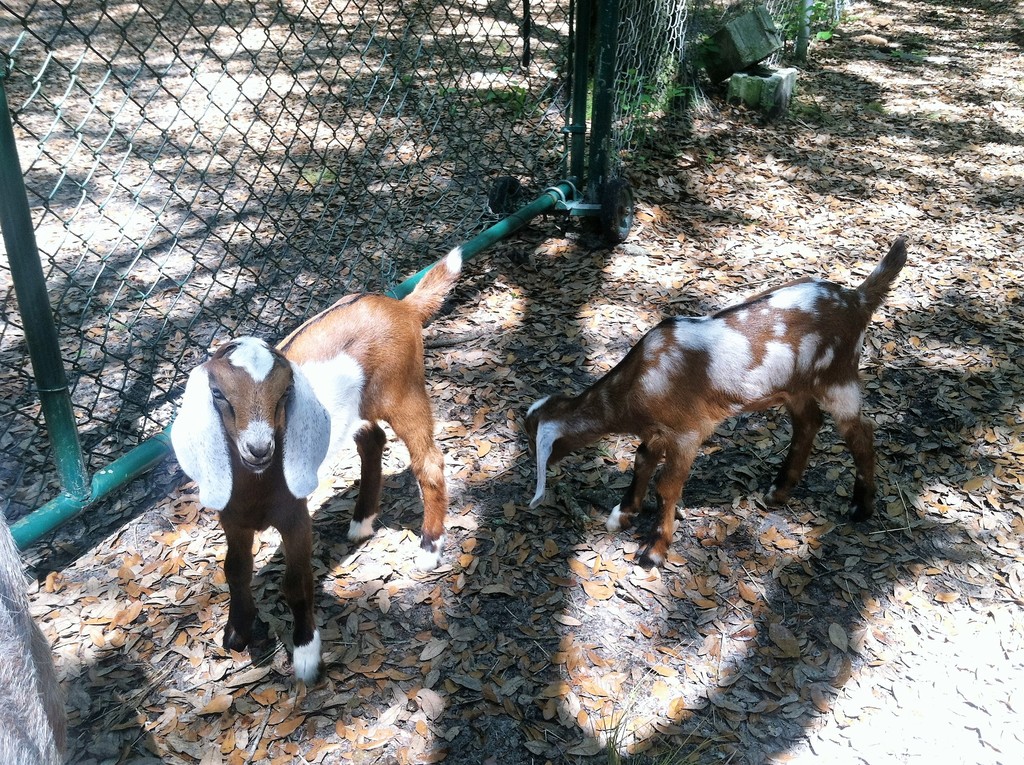 Burns Creekside Farms LLC