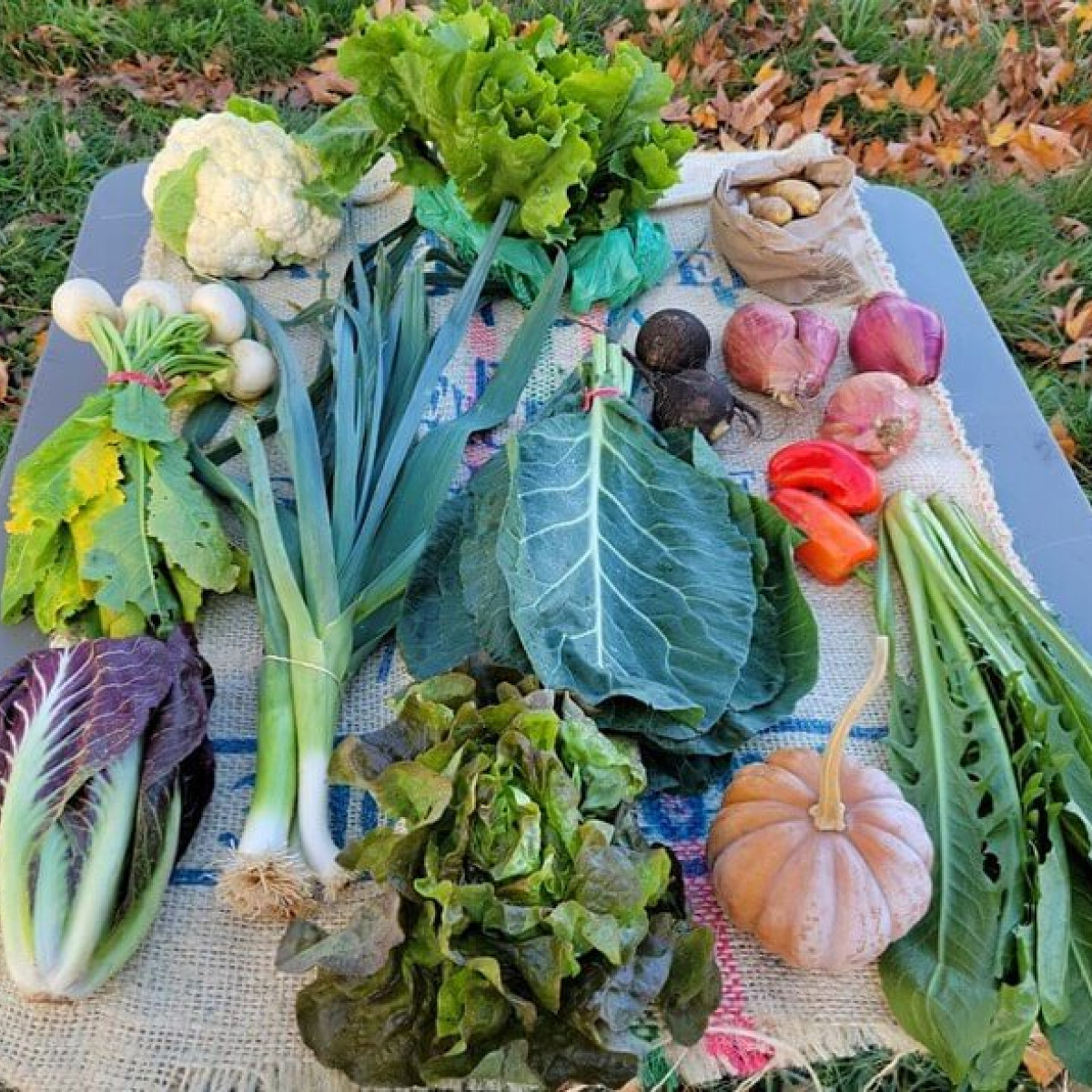 Canby Farm and Kitchen