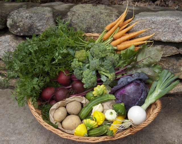 Cane Creek Asparagus & Company CSA