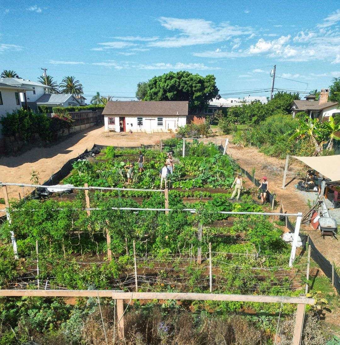 Cardiff Tiny Farm