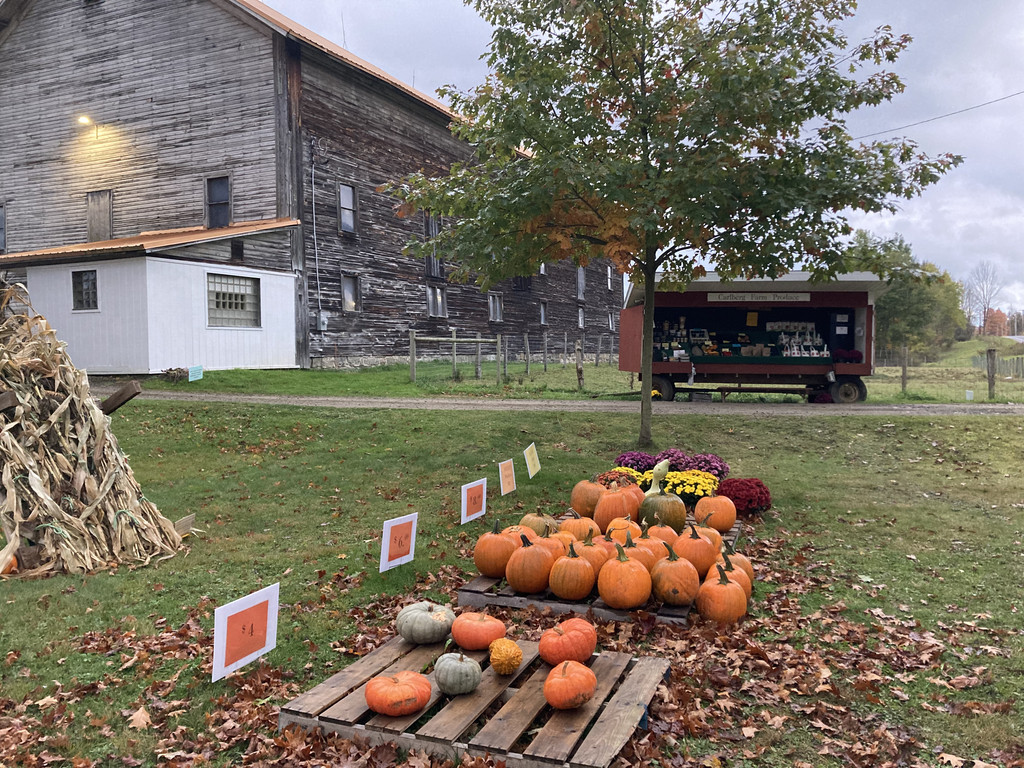 Carlberg Farm Livestock and Produce