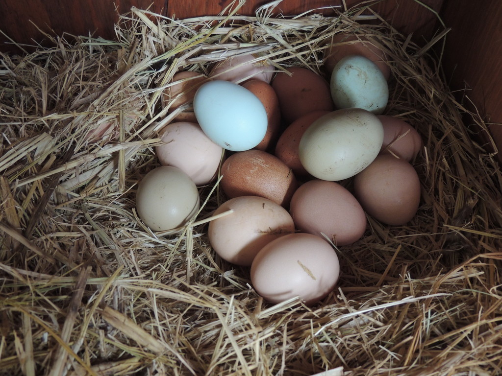 Cascade Valley Heritage Farm