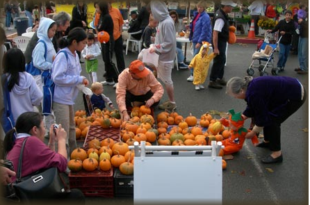 Castro Valley Farmer's Market - Urban Village
