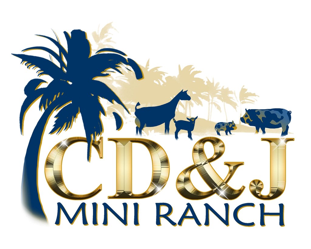 CD&J Mini Ranch