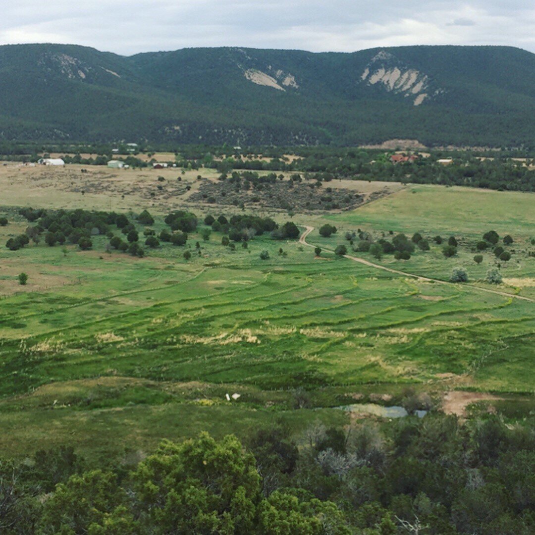 Cedar Springs Farm