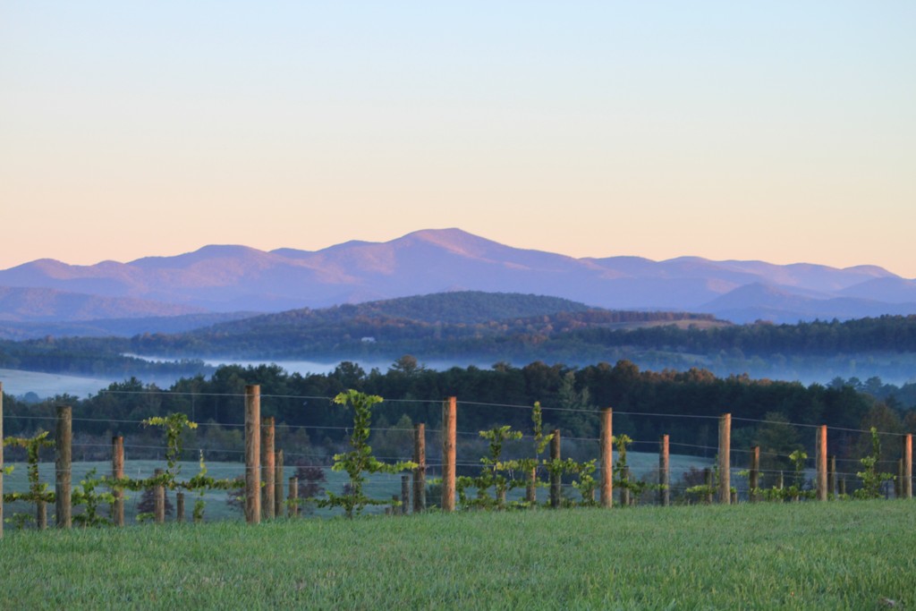Chattooga Belle Farm