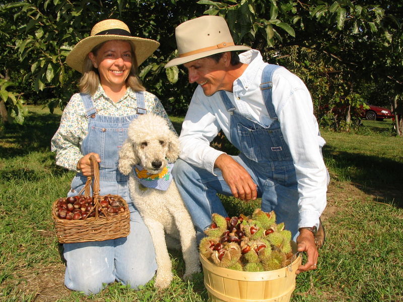 Chestnut Charlie's Organic Tree Crops