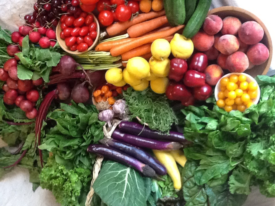 CJs Organic Farm