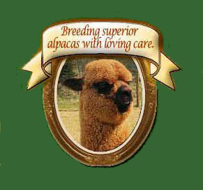 Clearview Farm & Ranch Alpacas
