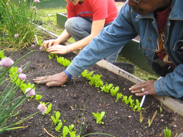 Common Good City Farm