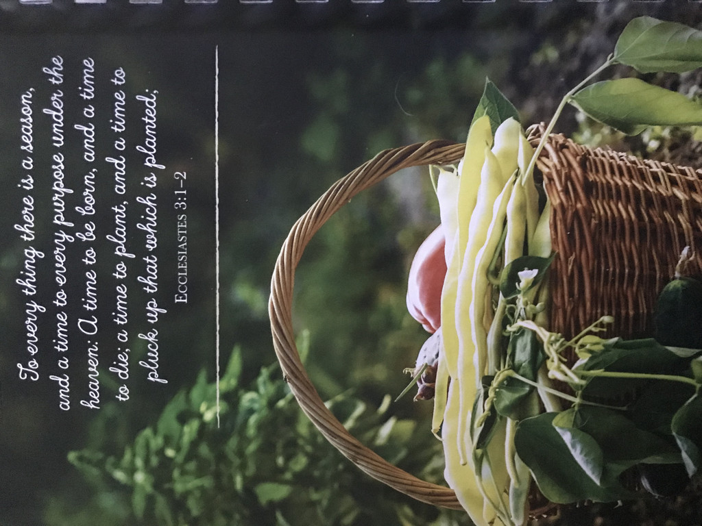 Copper Hill, Farm Stand