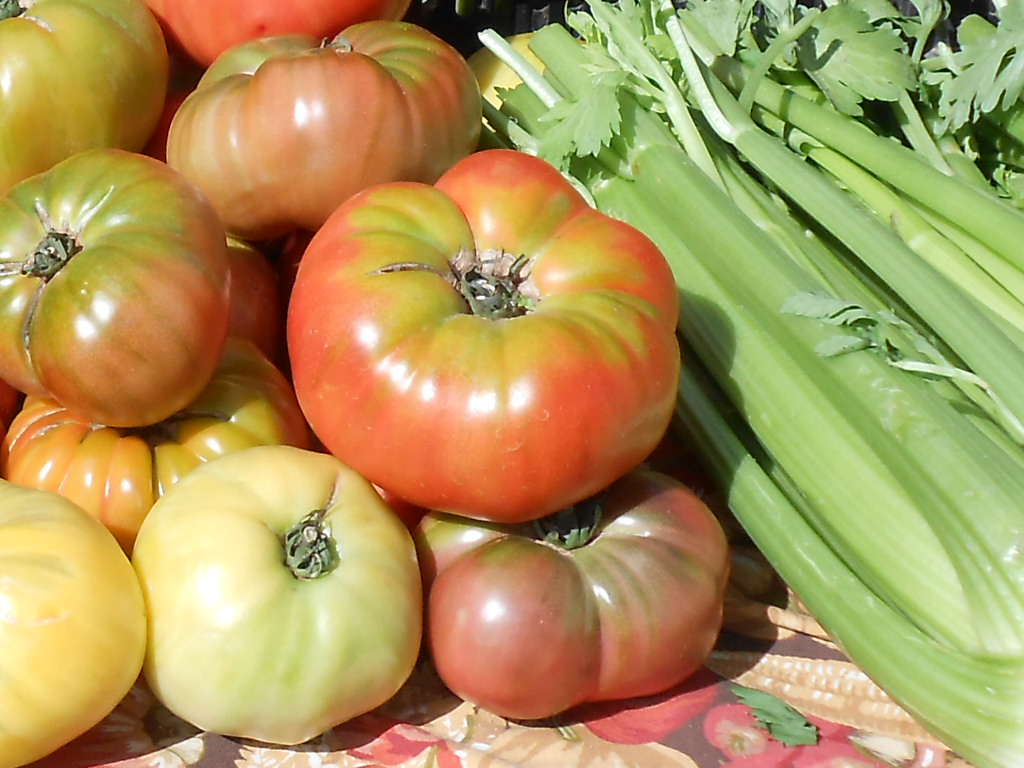 Corona Certified Farmers' Market