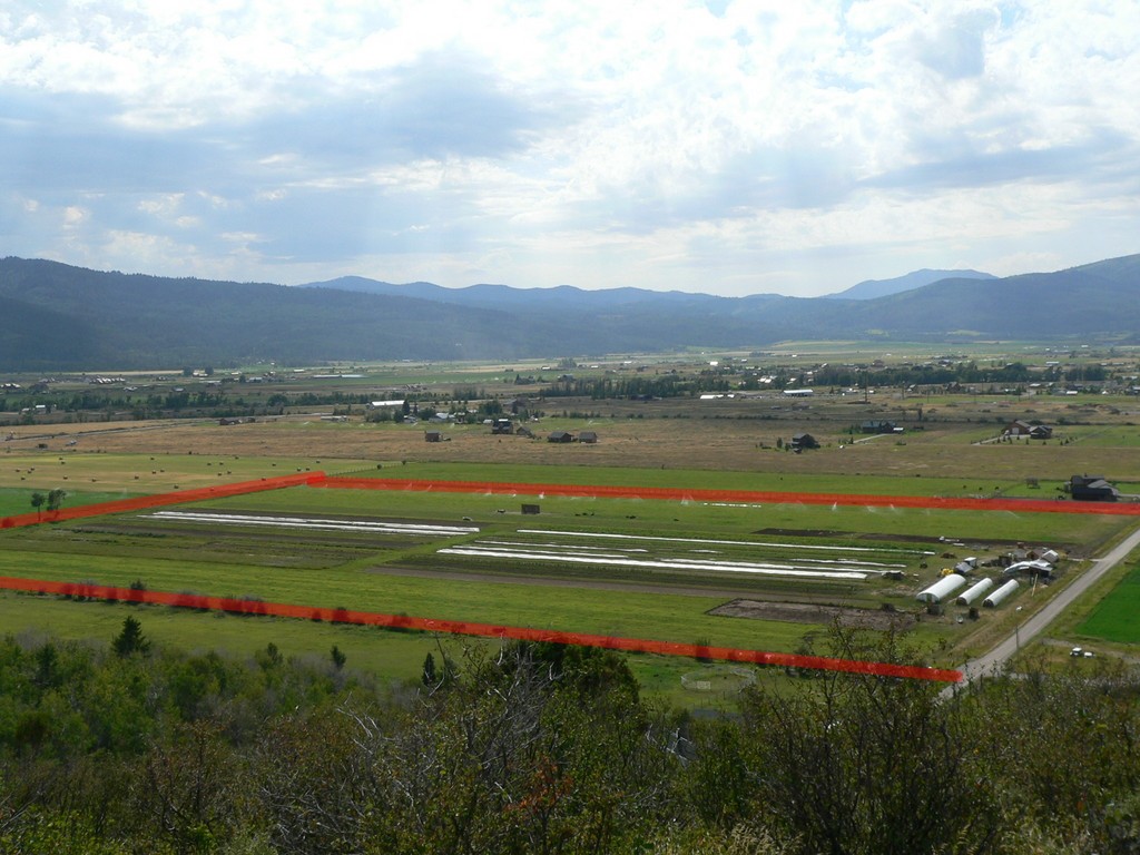 Cosmic Apple Gardens