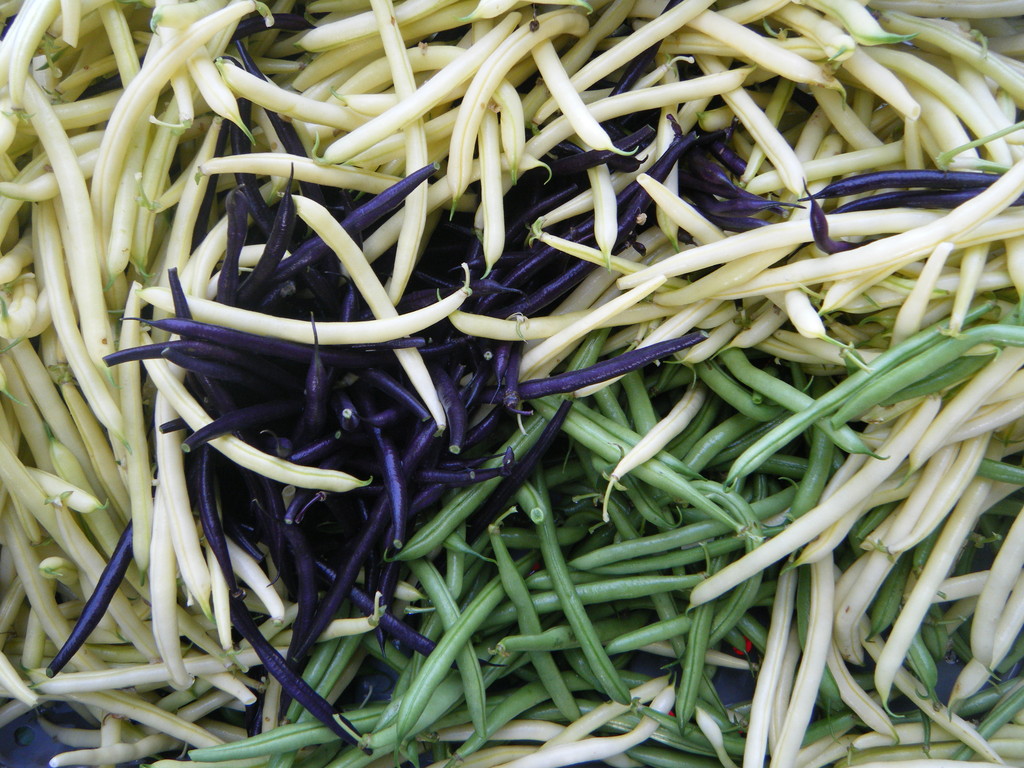 Coulter's Good Earth Farm