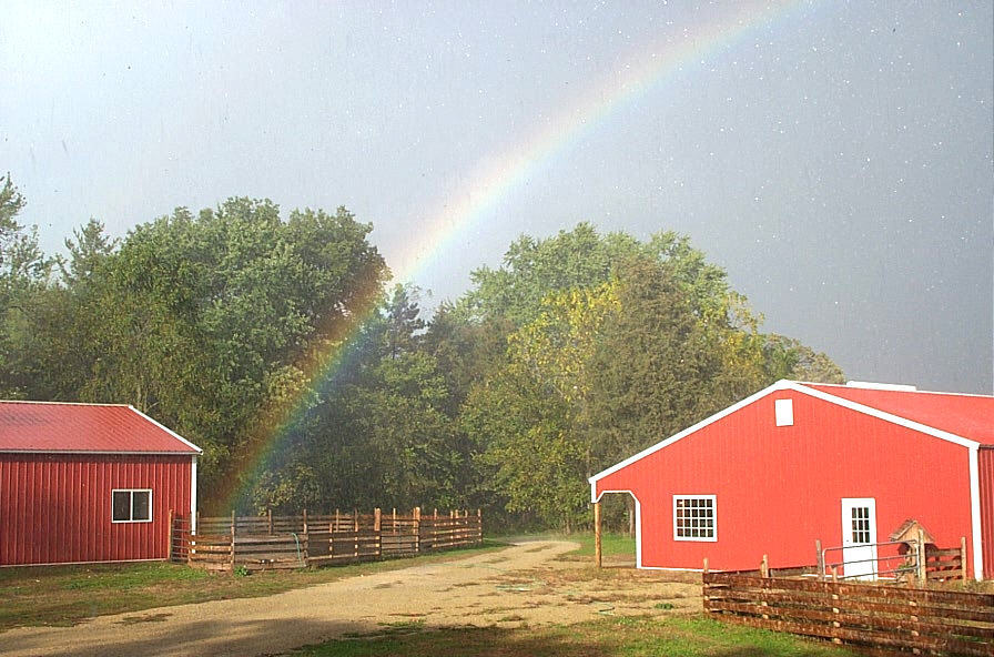 Country Haven Farm