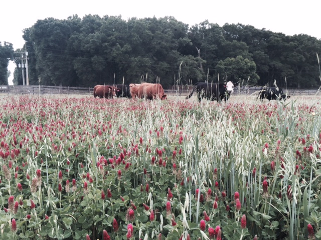 Deep Roots Meat, LLC