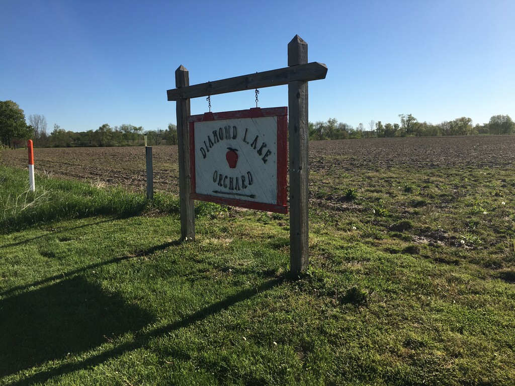 Diamond Lake Orchard