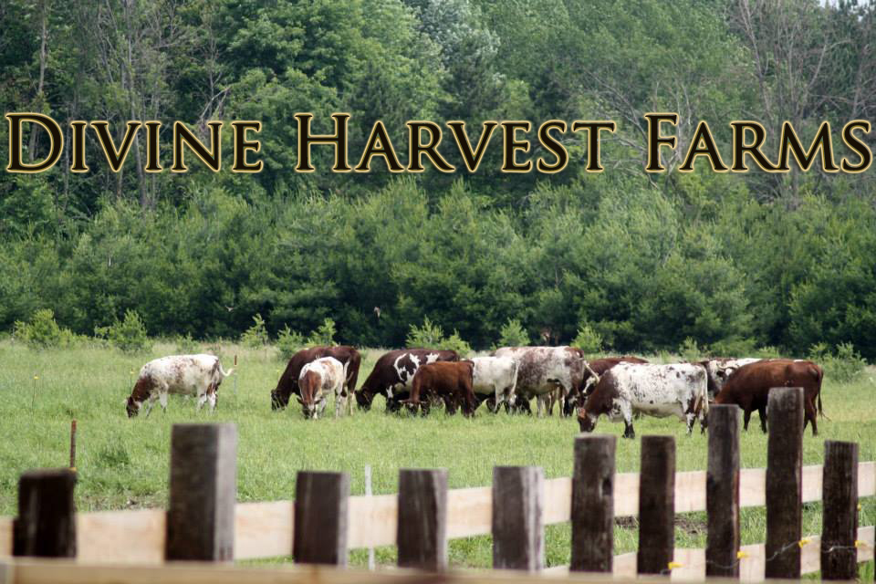 Divine Harvest Farm