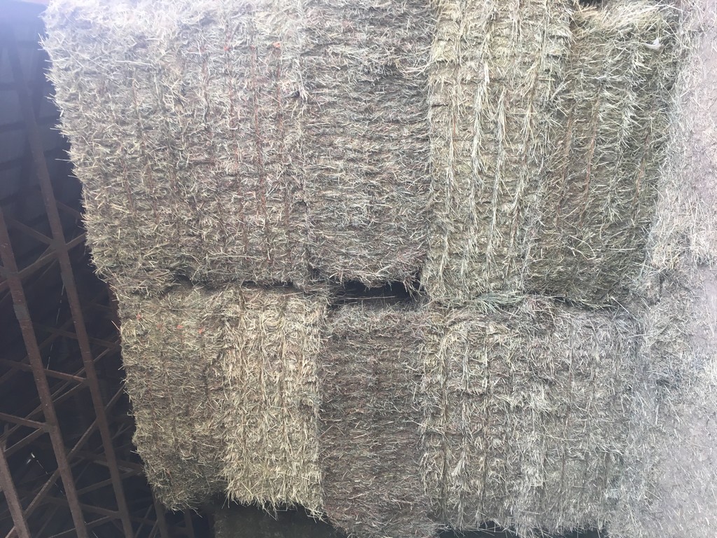 Dms Custom Harvesting