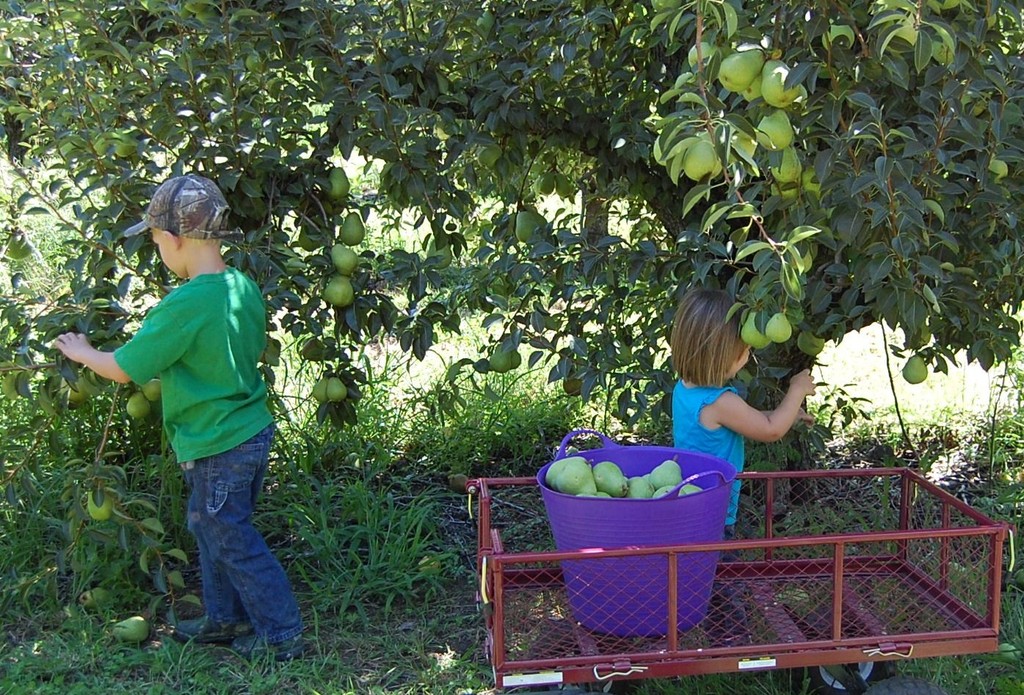 Double M Farms
