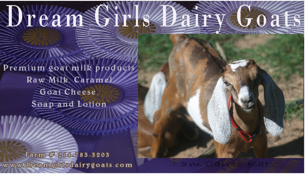 Dream Girls Dairy Goats