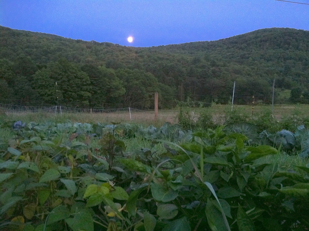 East Brook Community Farm