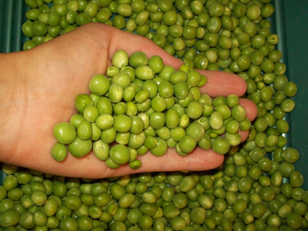 Eating Seasonally CSA
