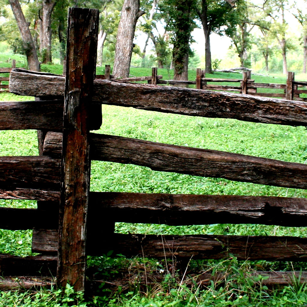 Everything Jesus! Ranch /MooJesus! Dairy