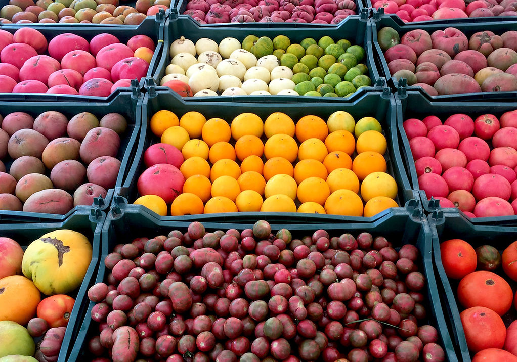 Evolutionary Organics