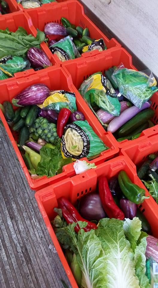 Fair Weather Growers